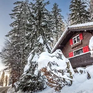 https://le-petit-reve-lac-de-montriond.hotels-rhonealpes.com